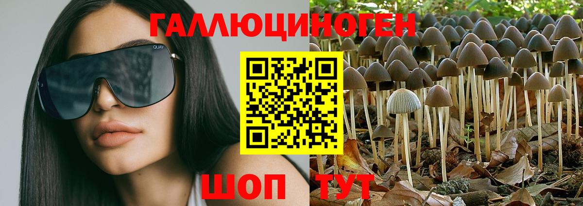 Старая Купавна  Галлюциногенные грибы мицелий  хочу   Вход с VPN 